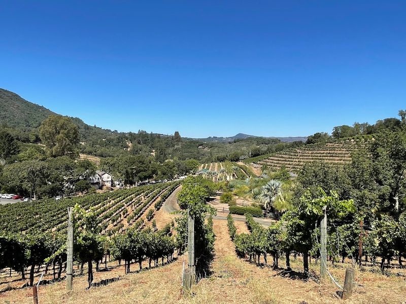 This quiet California wine country spot feels like a secret people are struggling not to share 3 Sonoma Valley Wineries Without the Napa Crowds