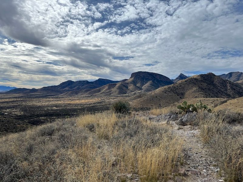 Hiking Trails for Nature Lovers Above Ground
