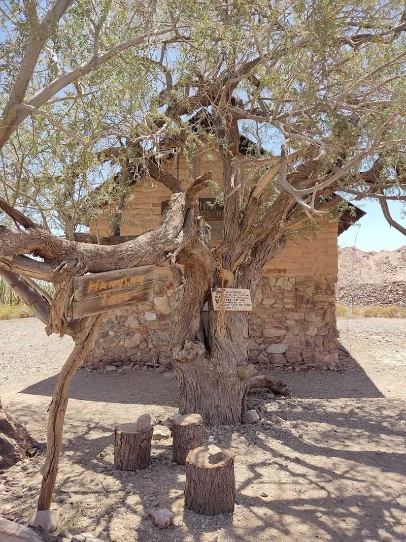 The Infamous Hanging Tree