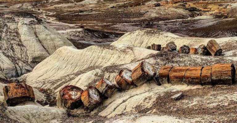 This 1-Mile Arizona Trail Looks Like It’s From Another World