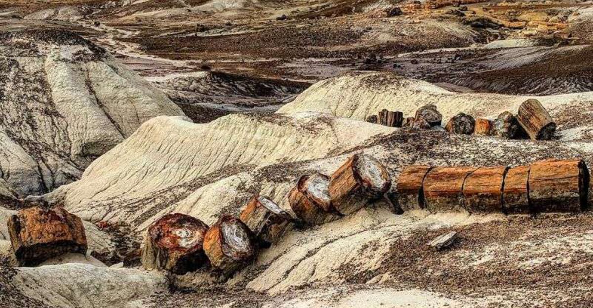 This 1 Mile Arizona Trail Looks Like Its From Another World