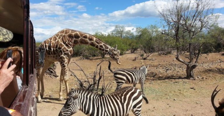 This Arizona Wildlife Park Spans 100 Acres and Feels Like Africa
