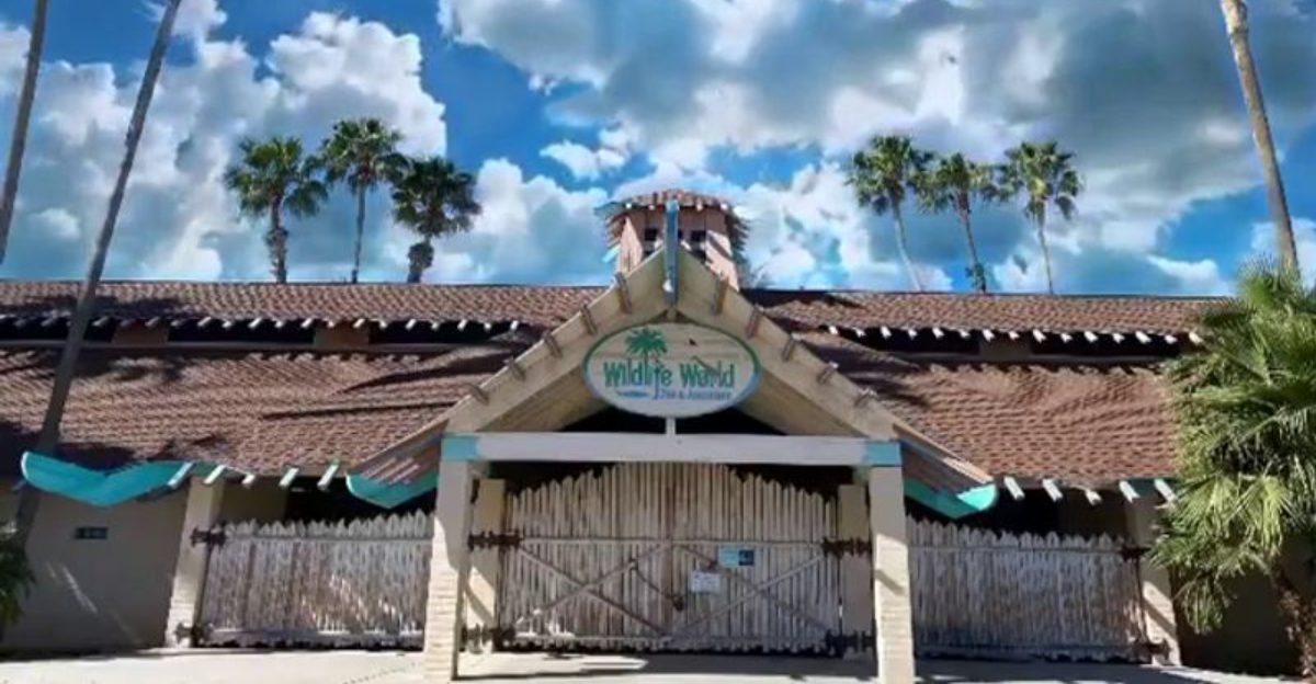 This Arizona attraction gives visitors the chance to get closer to wildlife than most people ever expect