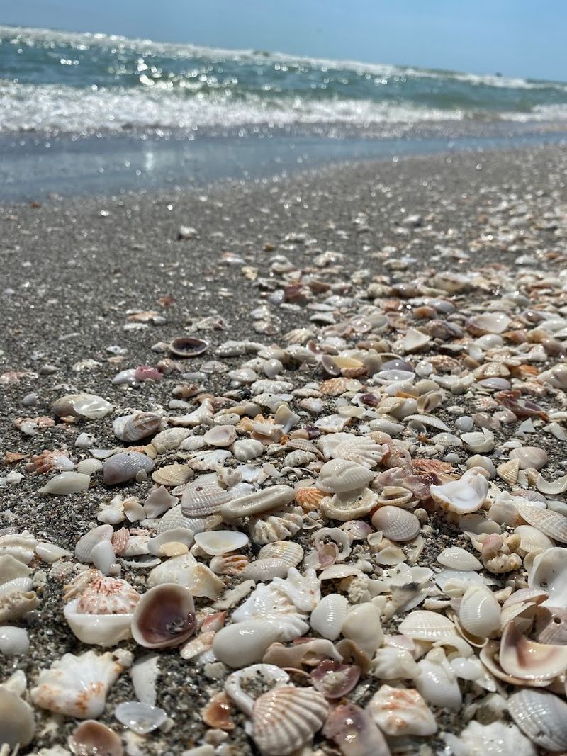 The Art of the Sanibel Stoop on Captiva's Shores