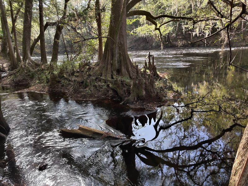 The Santa Fe River That Disappears Underground