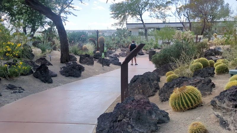 A Free Garden Worth Every Step