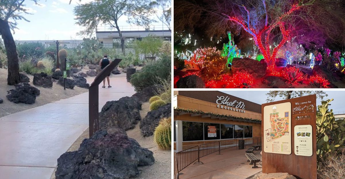 This Beautiful Nevada Botanical Garden Is Ideal for Relaxing Weekend Trips