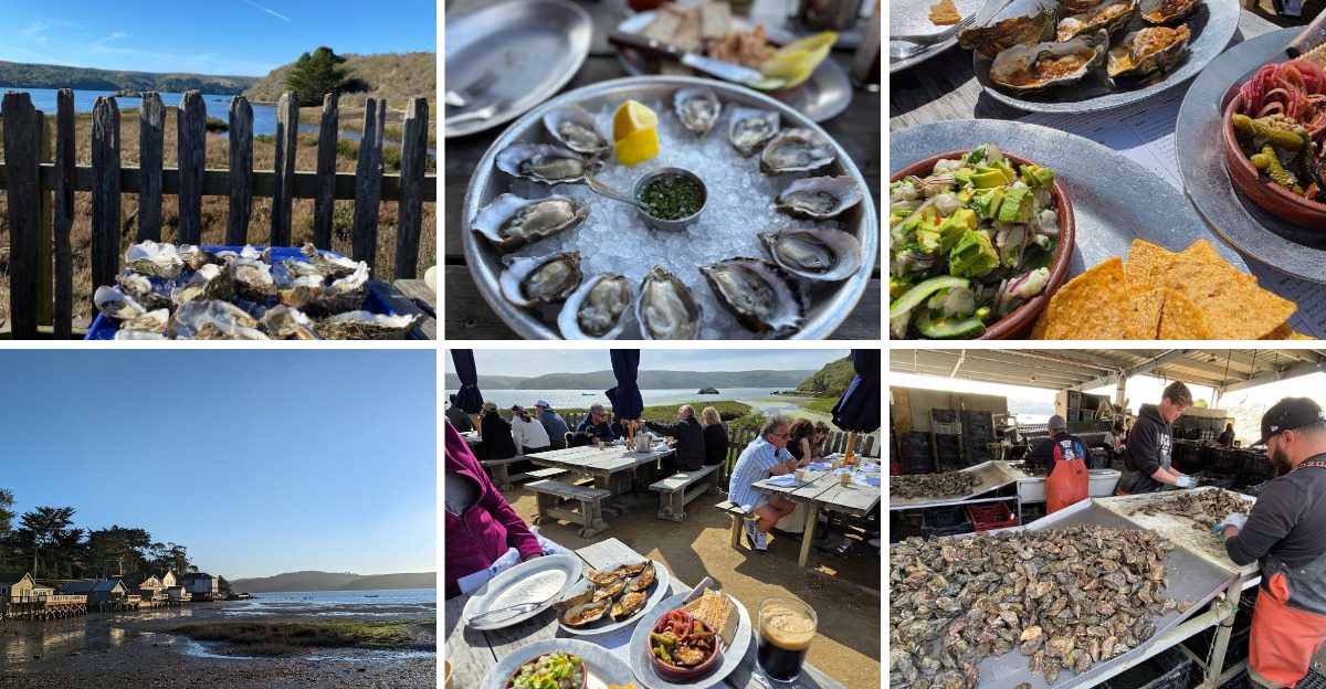 This California seafood restaurant serves the kind of fresh catch people gladly drive hours to eat