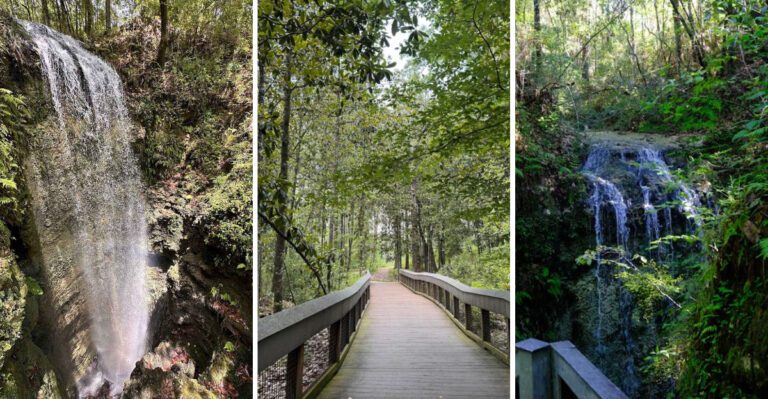 This Easy 1-Mile Waterfall Hike in Florida Is Perfect for the Whole Family