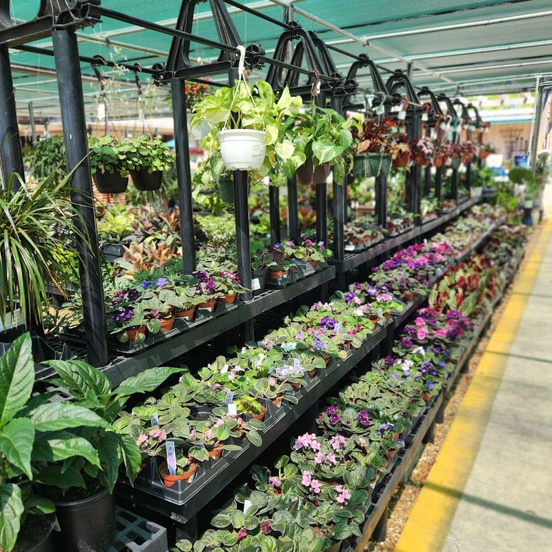 A Living Greenhouse That Never Sleeps