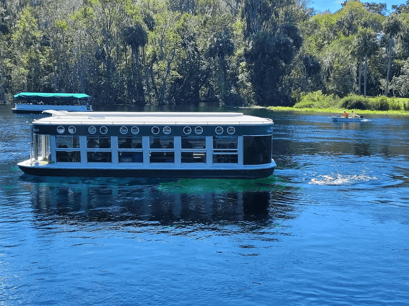 Glass Bottom Boat Tours