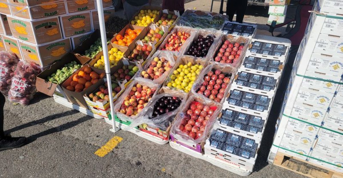 This Florida greenhouse destination is where plant lovers go when basic garden centers no longer impress them