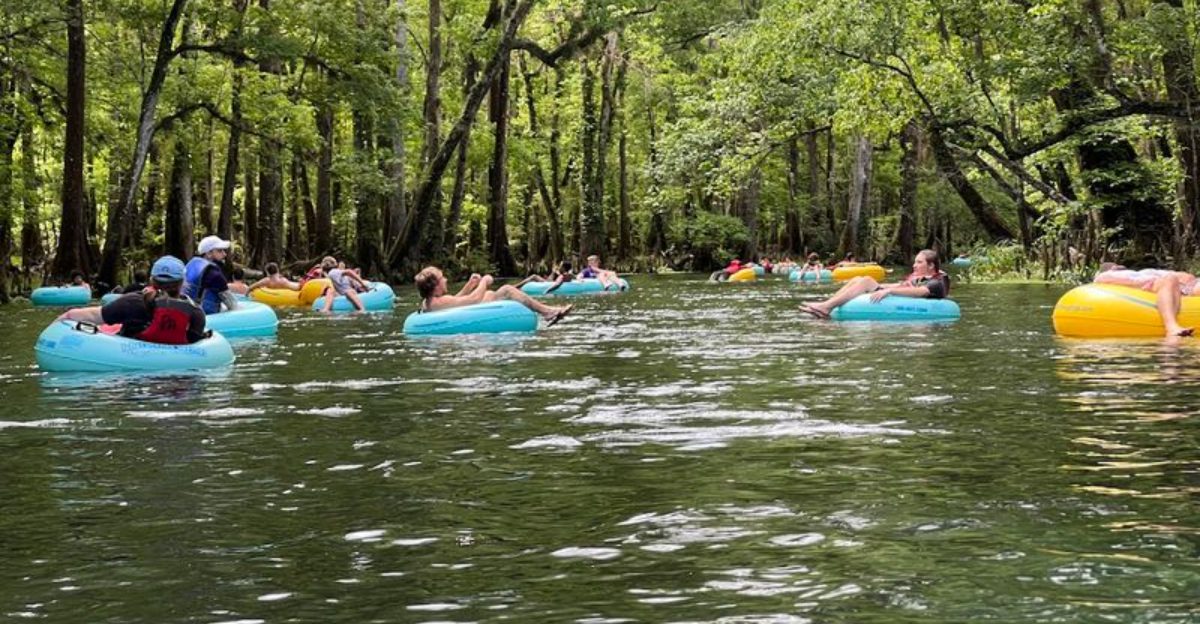 This Florida state park is so beautiful people forget the beaches are not the only reason to come here