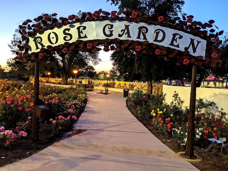 Nearly 9,000 Rose Bushes in One Place