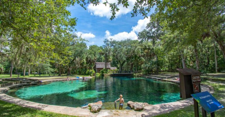 This Hidden Spring in a Florida National Forest Offers Camping All Year Long