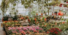 This Tennessee Greenhouse and Garden Center Is Becoming the First Stop for Locals Who Want Rare Plants and Fresh Inspiration