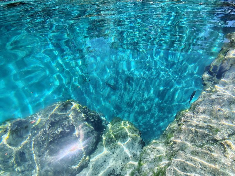 This hidden Florida spring is so clear and beautiful people cannot believe it is still this peaceful 2 Crystal-Clear Water That Looks Almost Unreal