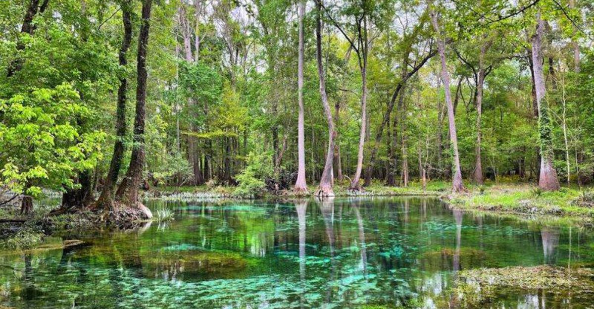 This hidden Florida spring is so clear and beautiful people cannot believe it is still this peaceful
