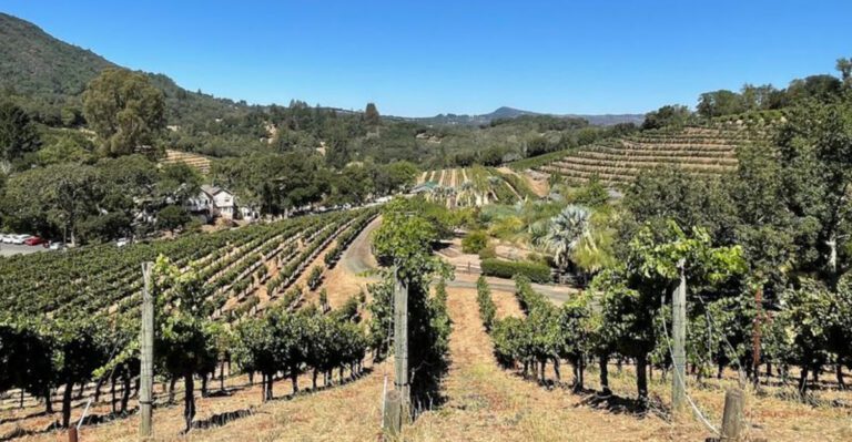 This quiet California wine country spot feels like a secret people are struggling not to share