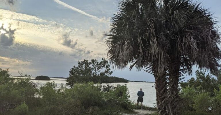 This side of Florida still feels untouched enough to surprise even longtime locals