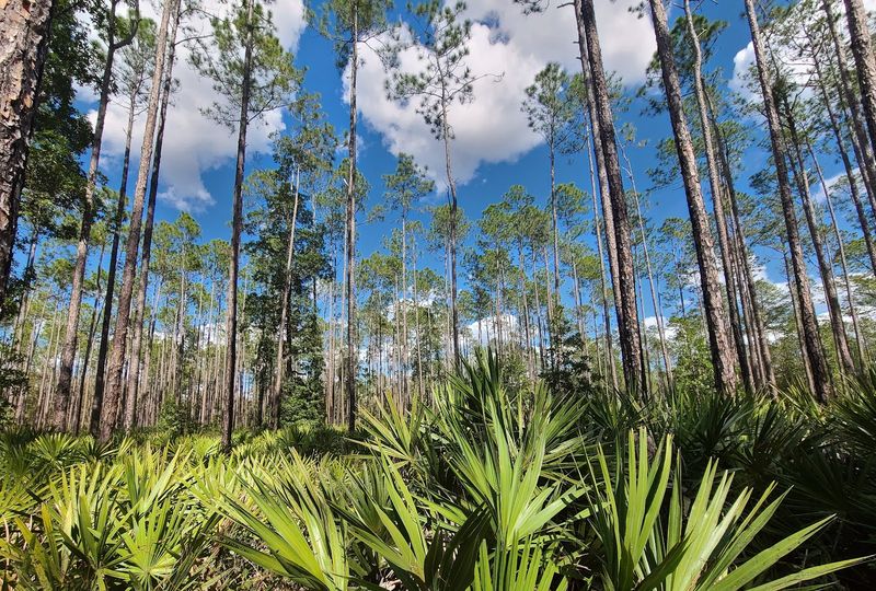 Best Season to Visit