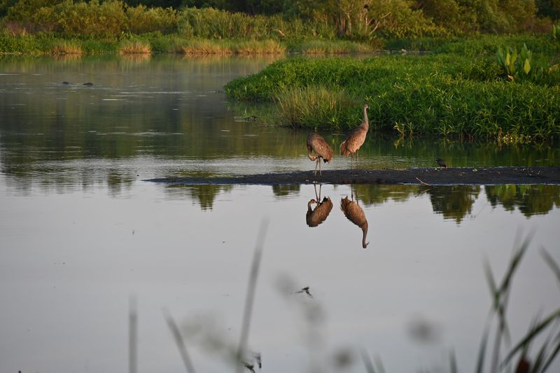 Photography Opportunities That Feel Almost Professional