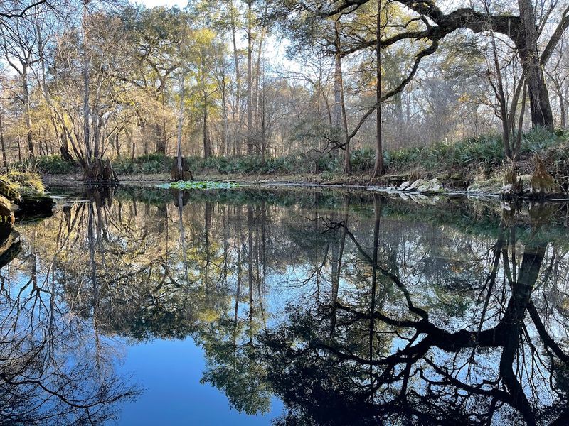 The Peaceful, Secluded Atmosphere That Keeps Visitors Coming Back