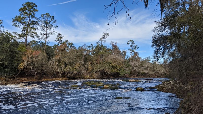 Big Shoals Wildlife Management Area - Zone B - White Springs, Florida