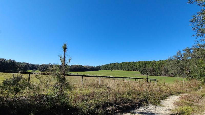 The Forest Road Segment and Farmland Views