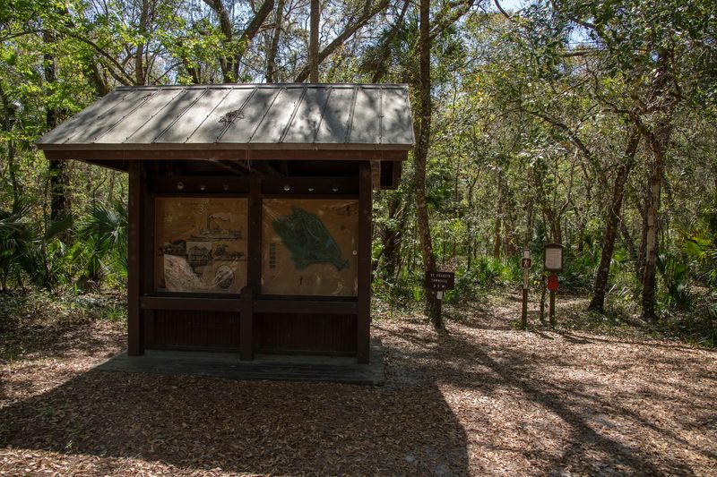 Yellow Blazes and Trail Markings