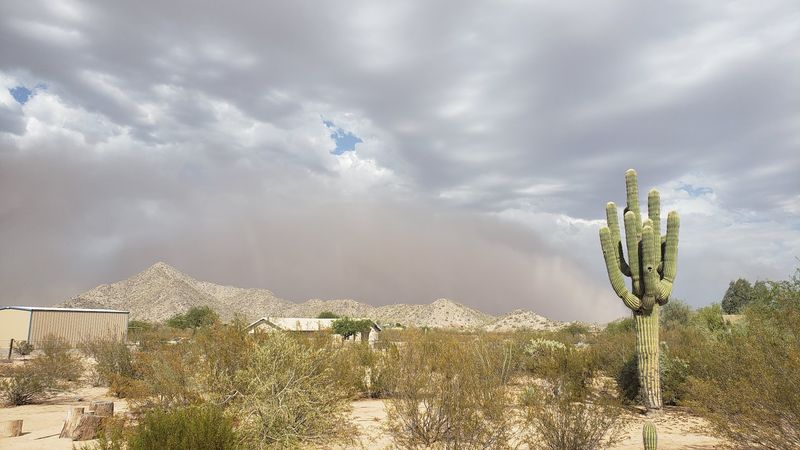 Outdoor Recreation That Costs Almost Nothing