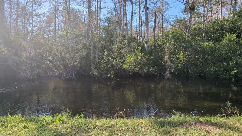 H.P. Williams Roadside Park