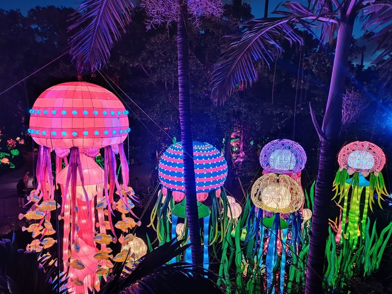 Luminosa — The Magical Light Show