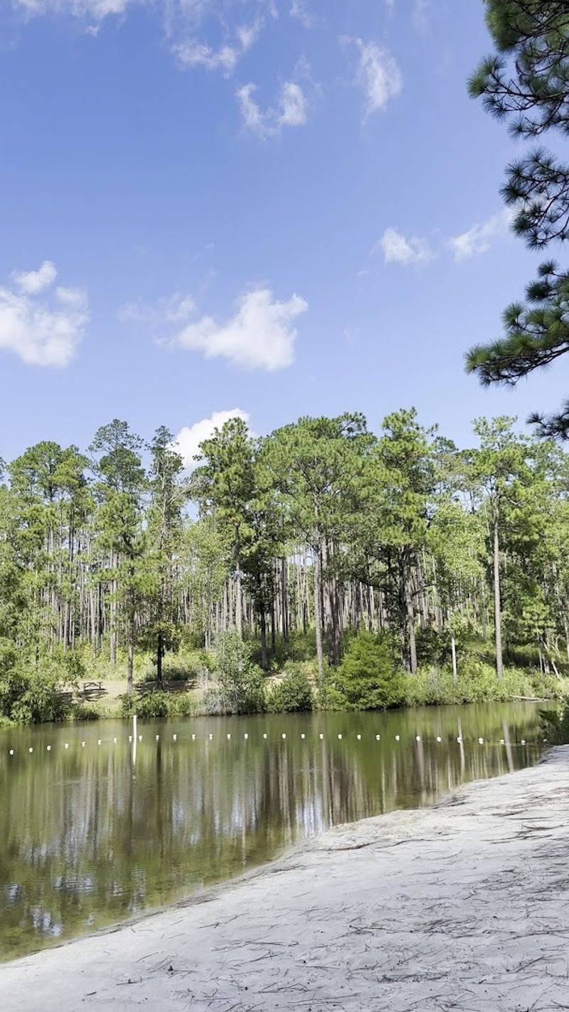 Turtle Lake and the Small Sandy Swim Area