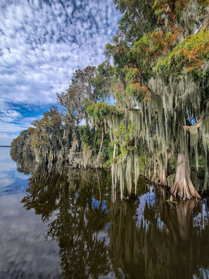 Stunning Sunsets Over Lake Hancock