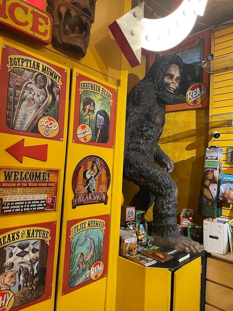 The Paranormal Photography Gallery