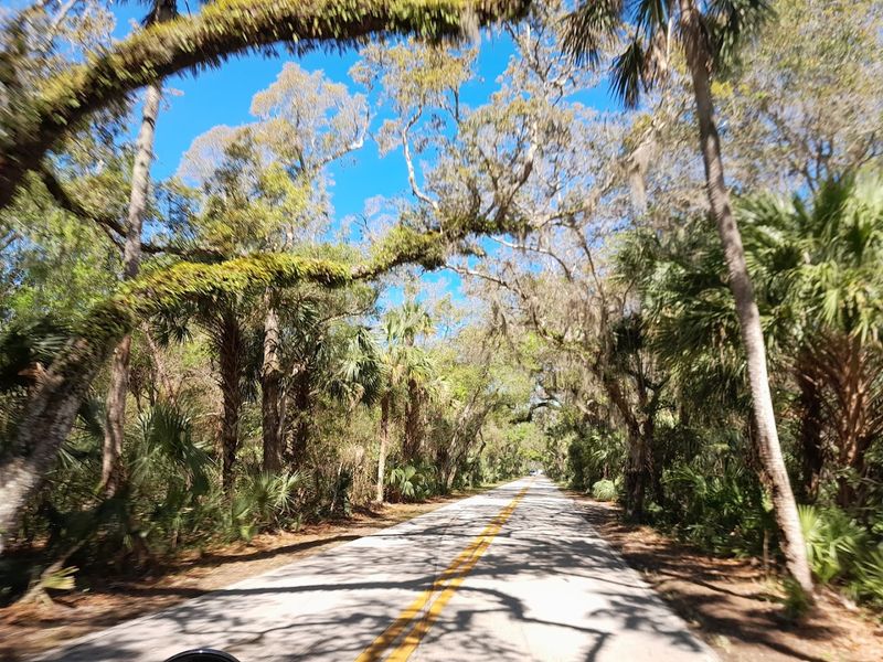 12 Country Roads in Florida Perfect for a Scenic Drive 5 Ormond Scenic Loop & Trail - Ormond Beach, Florida