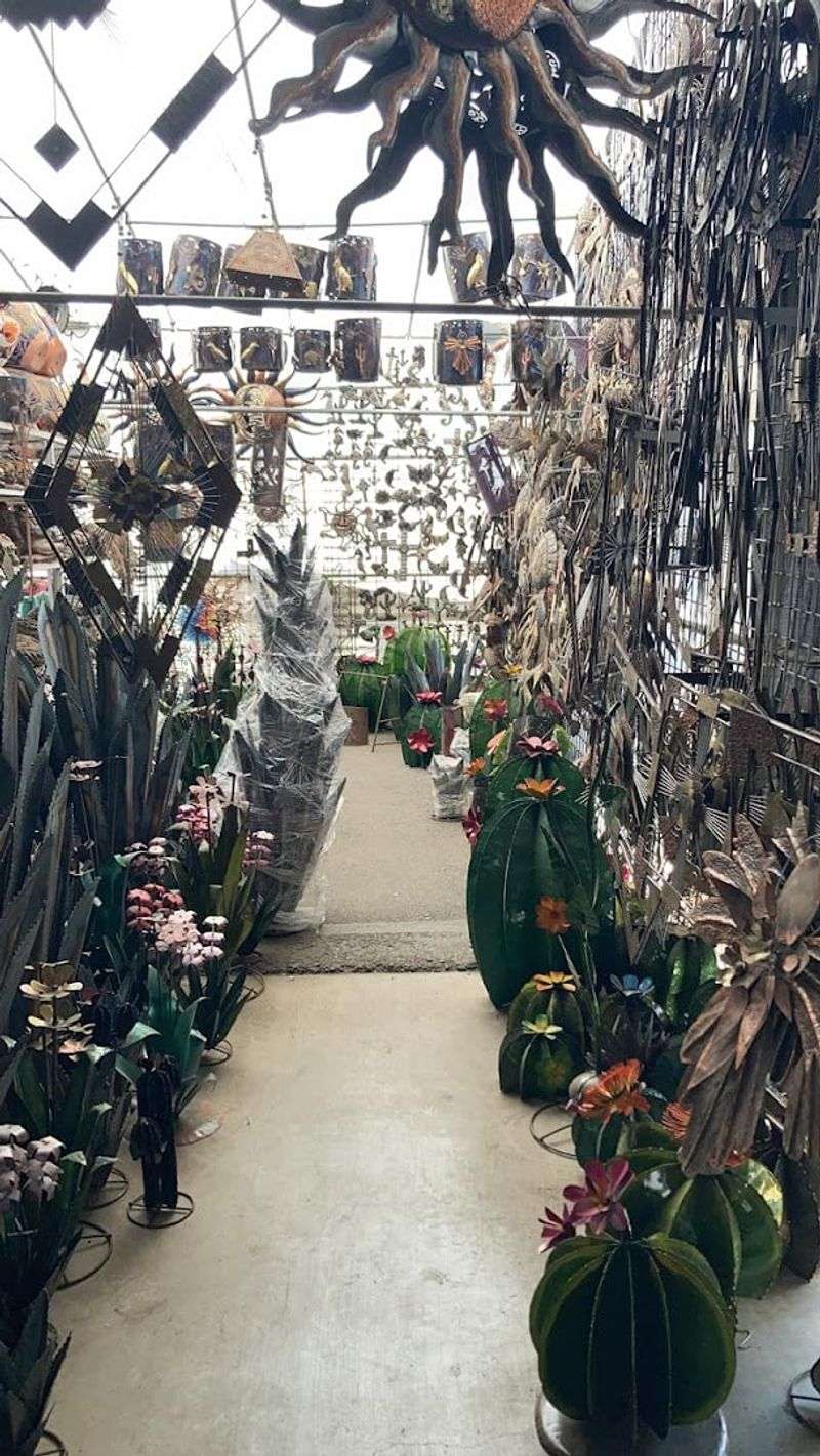 Plants, Cactus, and Arizona-Inspired Decor