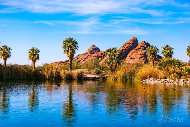 These Arizona Desert Garden Trails Are at Their Absolute Best This Spring 6 Papago Park - Phoenix, Arizona