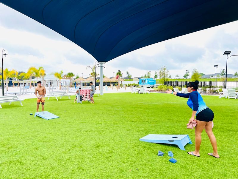 Volleyball and Lawn Games