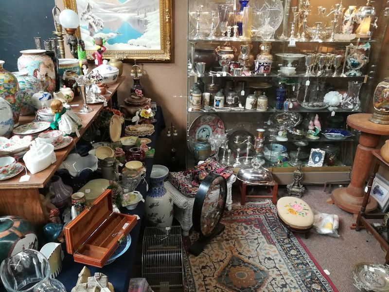 Enjoy a Nostalgic Family Day at This Antique Theme Park in Florida 9 Dog-Friendly Atmosphere for Four-Legged Family Members