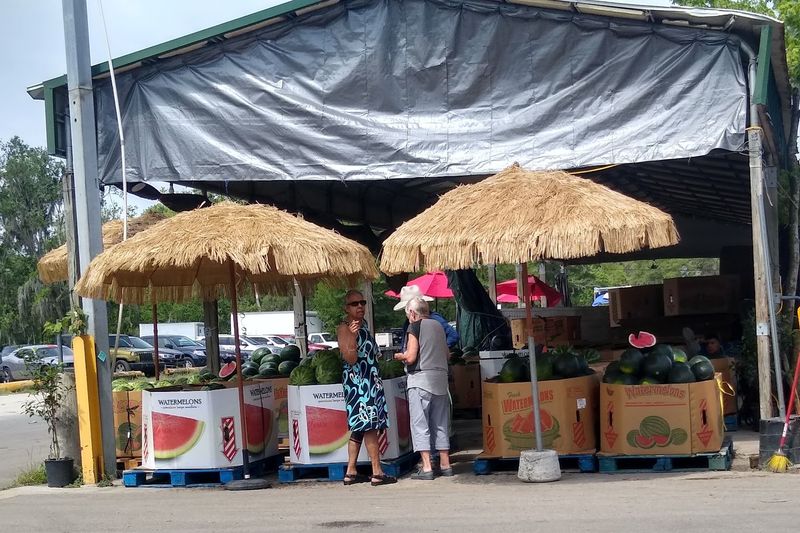 This Florida greenhouse destination is where plant lovers go when basic garden centers no longer impress them 7 Food That Makes the Visit Even Better