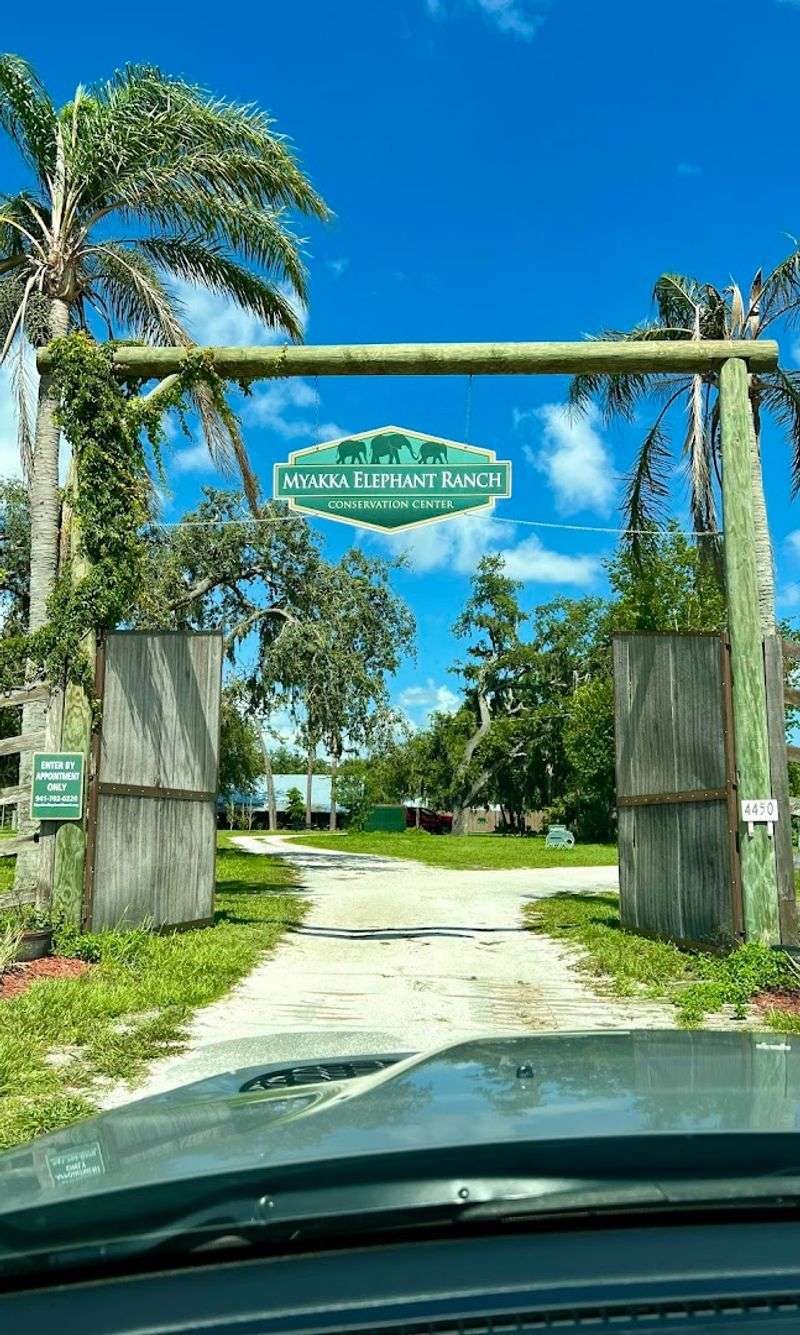 A One-of-a-Kind Elephant Sanctuary in Florida