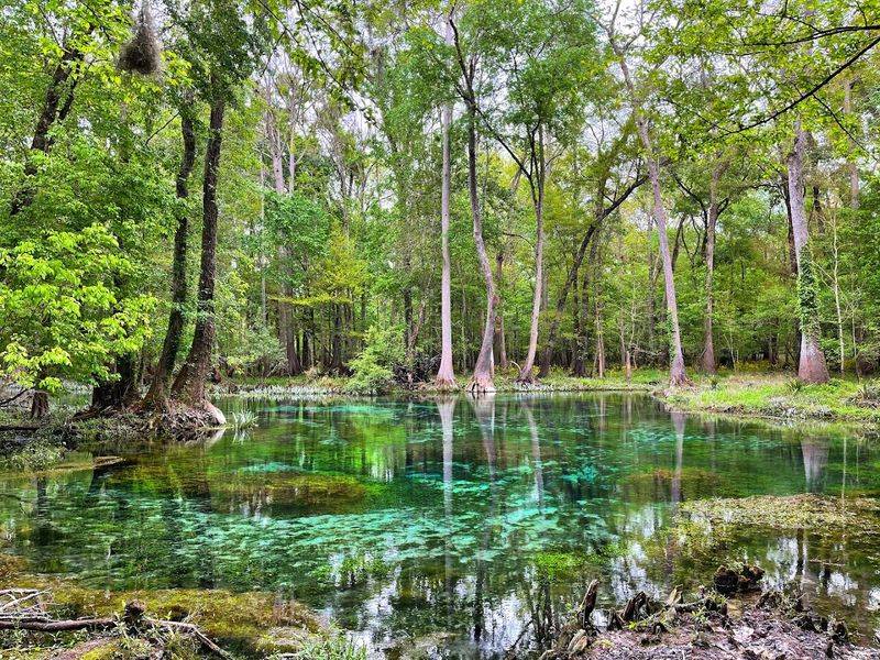 This hidden Florida spring is so clear and beautiful people cannot believe it is still this peaceful 14 A Spot So Peaceful It Feels Like a Well-Kept Secret
