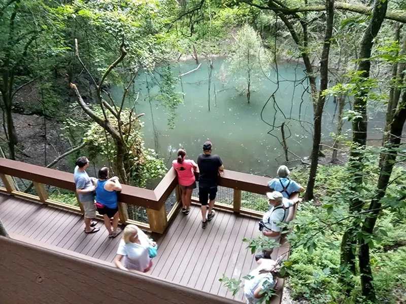 The Iconic Wooden Staircase: Your Gateway to the Deep