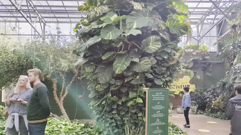 The Immersive 3D Movie That Kicks Off Your Visit