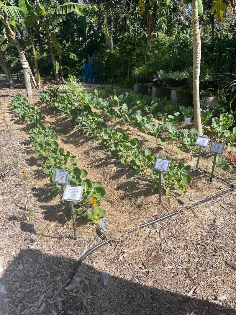 This Florida greenhouse approach helps gardeners grow more with less stress 6 Worm Farming for Richer, Healthier Soil