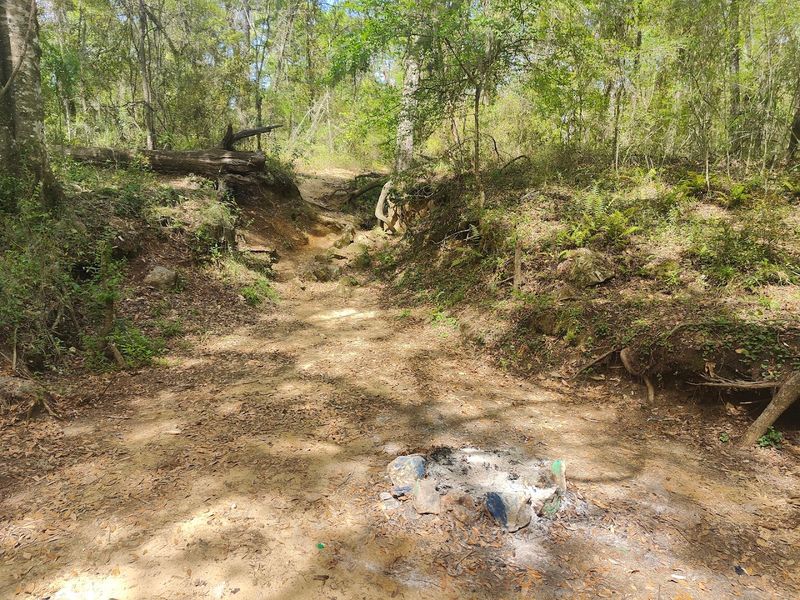 This Florida Cave Trail Offers a Thrilling Hike for the Whole Family 3 Getting There: How to Find the Trailhead