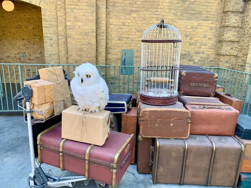 This Magical Train Ride in Florida Feels Like a Scene From a Storybook 13 The Atmosphere and Attention to Detail That Sets It Apart