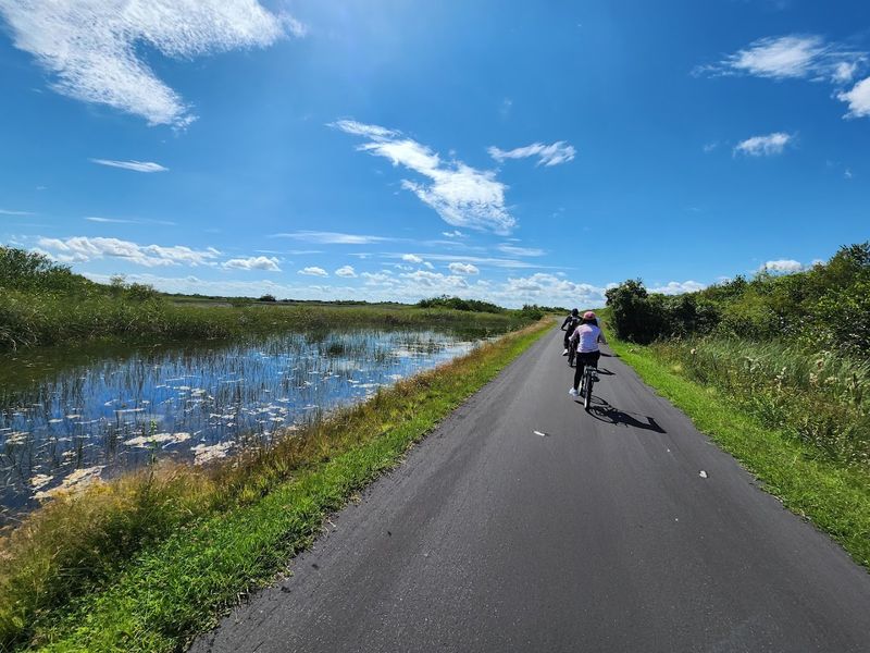 Hike to This Florida Overlook That Resembles a Mini Space Needle 3 Getting There: Hike, Bike, or Tram Your Way to the Tower
